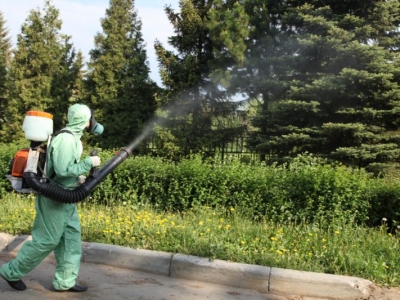 Уничтожение комаров в Одинцово